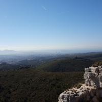 Tete de jacquot 13 02 19 5 